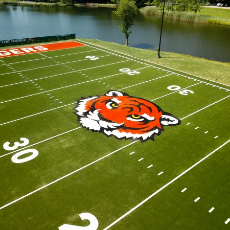 a football field with a cartoon character