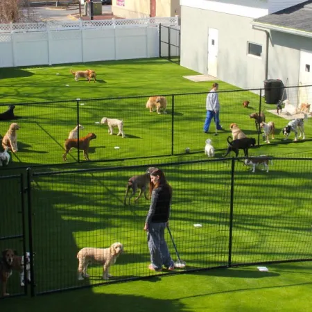 a group of people in a fenced in area with animals