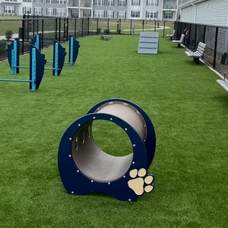 a playground with a slide