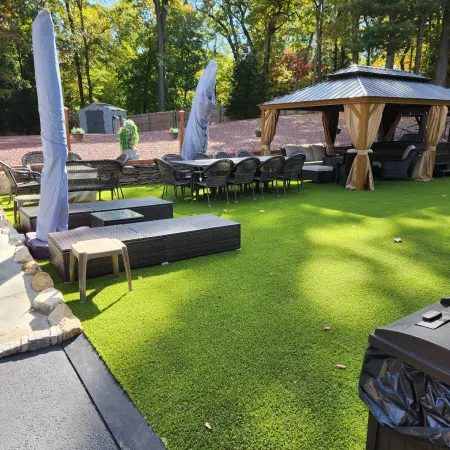 a lawn with a statue in the middle of it