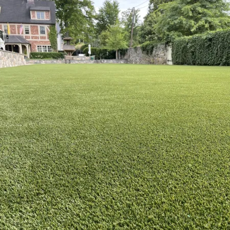 a large green lawn