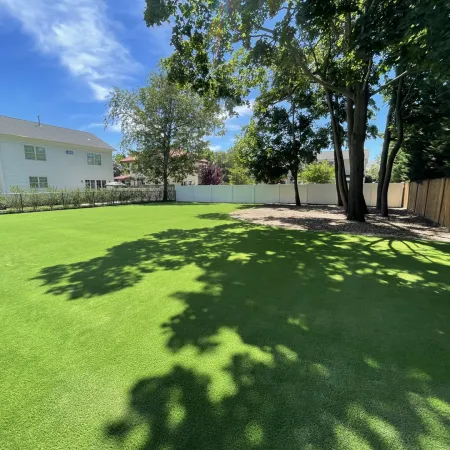a large green lawn