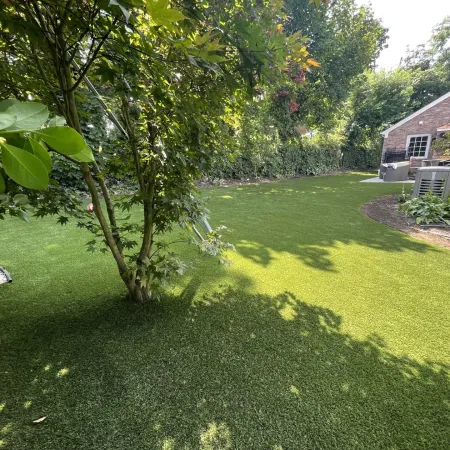 a yard with a tree and a house in the background