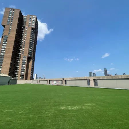 a grassy area with buildings in the background