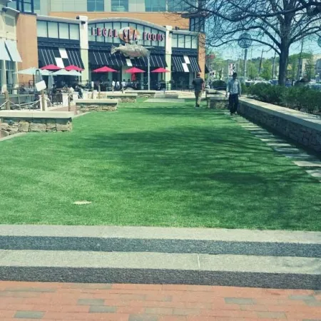 a large green lawn in front of a building