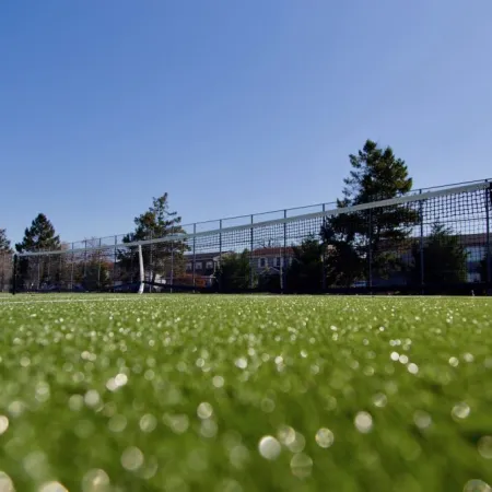 a field of grass with a fence and trees in the background