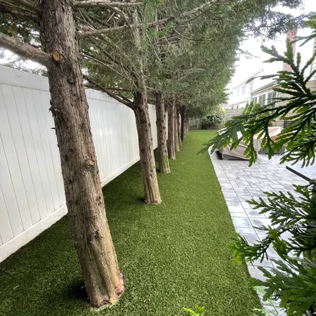 a backyard with trees and grass