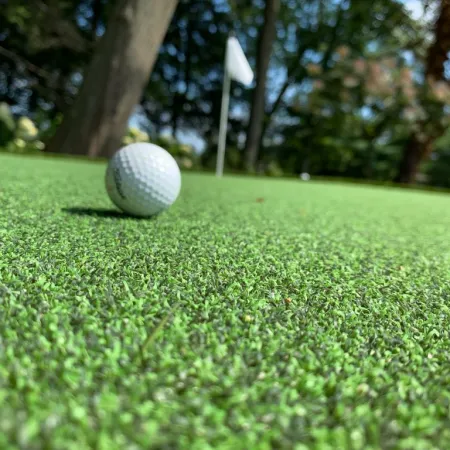 a golf ball on the grass
