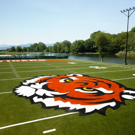 a painted field with a cartoon character