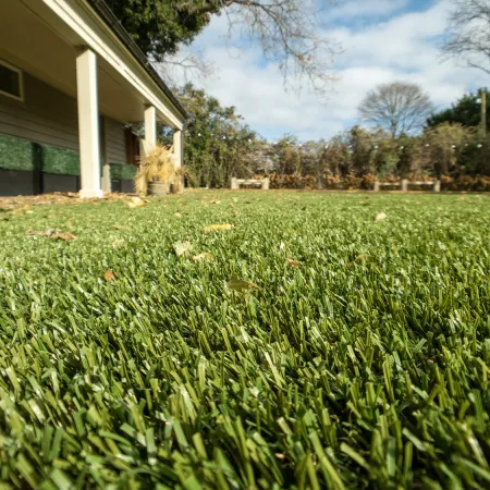 a grassy yard with a house in the background
