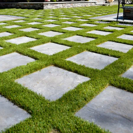 a patch of grass with a pattern