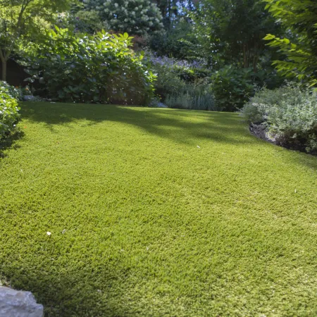 a grassy area with trees and bushes around it