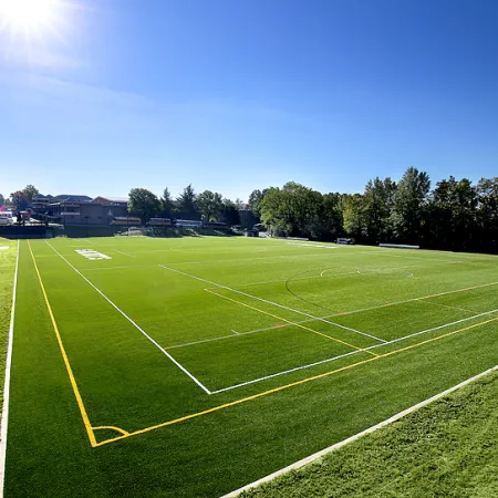 a green football field