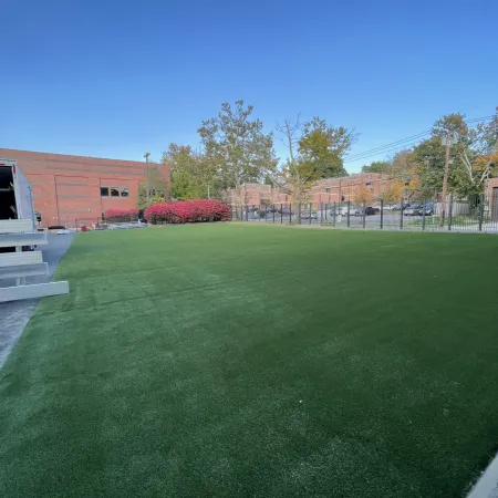 a green lawn with a building in the background