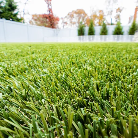 a field of grass