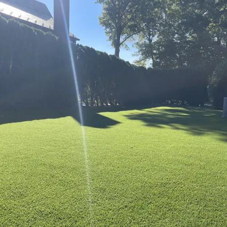 a grassy area with trees in the background