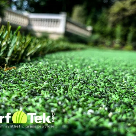 a close-up of some grass