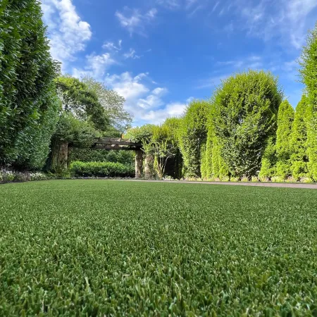 a large green lawn with trees