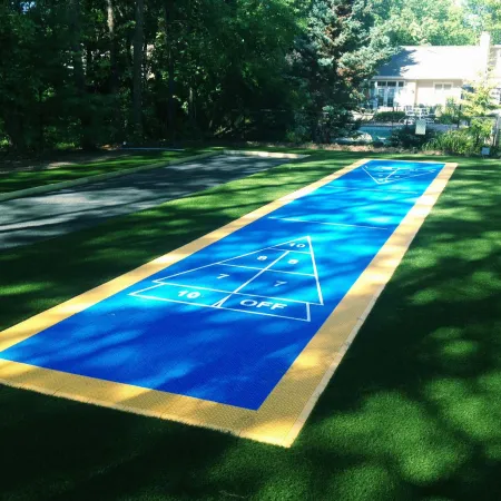 Outdoor shuffleboard court with blue and yellow markings surrounded by green grass and trees