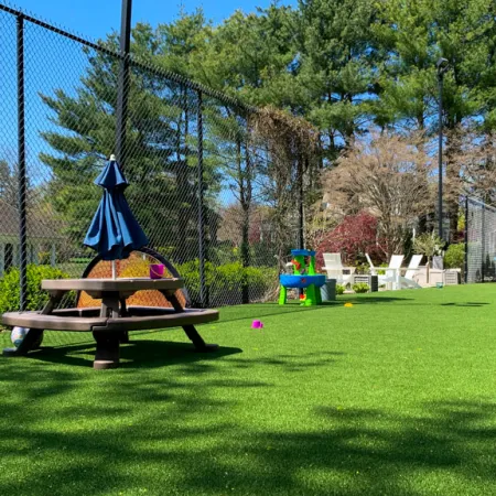 a swing set in a yard