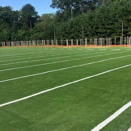 a green field with a white line