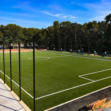 a football field with a crowd of people on it