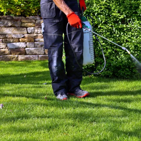 Pest Control 101: How Often Pest Control Should Be Done
