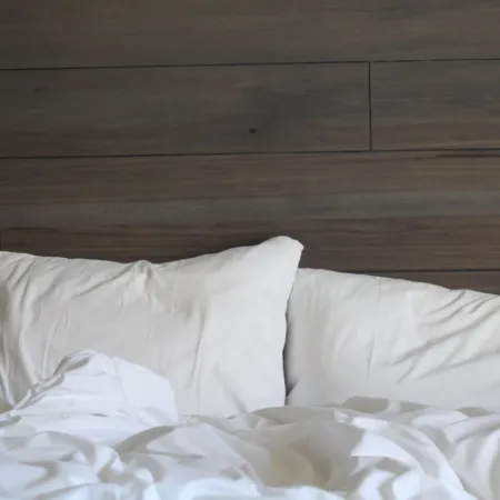 Bed Bugs 101: What They Are and How to Get Rid of Them