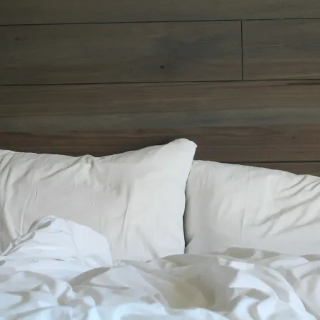 6 Signs of Bed Bug Infestation You Shouldn’t Ignore