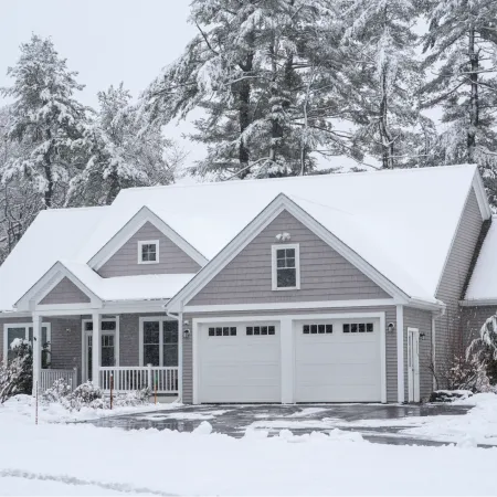 Effective Winter Pest Control: Keep Your Home Safe This Season