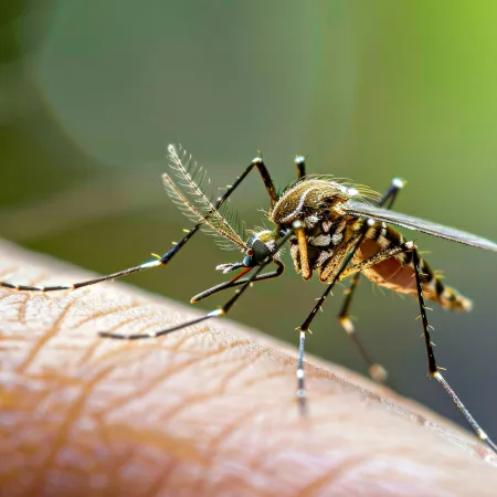 🦟 Taking Back Your Backyard: A Minnesotan’s Guide to Mosquito Control with Valor