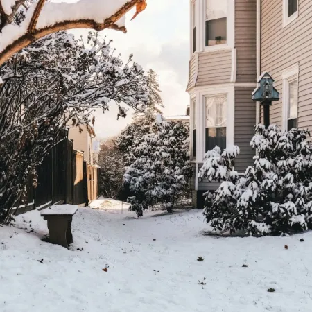 Preparing for Winter Pests