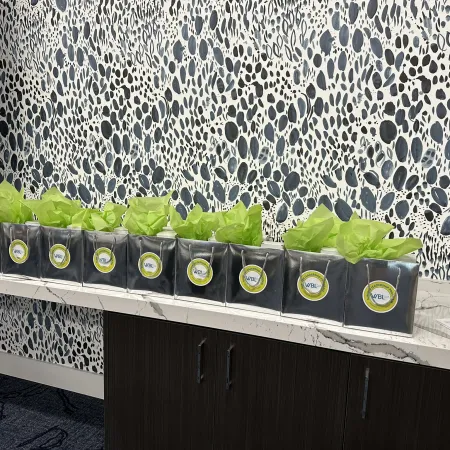 Row of black gift bags with green tissue paper lined on a marble countertop against patterned wall.
