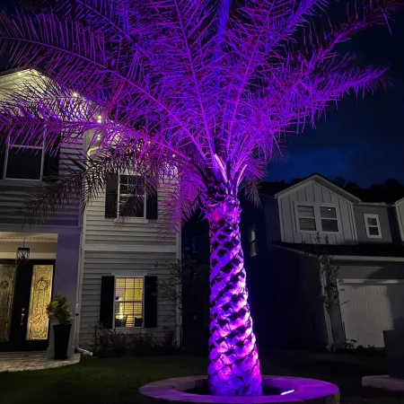 a house with purple lights