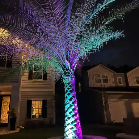 a house with a tree in the front