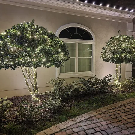 a building with trees and plants in front of it