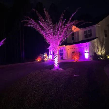 a house with a tree in the front at night