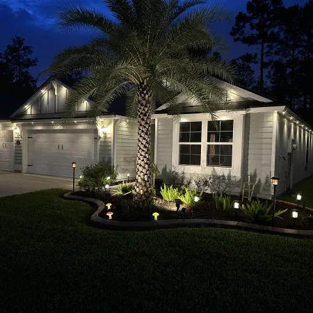 a house with a palm tree in the front yard at night