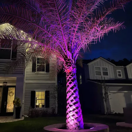 a house with purple lights