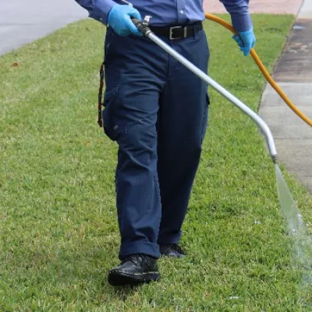Person wearing blue gloves using a pressure washer to clean a grassy lawn near a sidewalk and street.