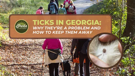 Group hiking on a wooded trail with inset of a tick on animal fur and text about ticks in Georgia prevention.