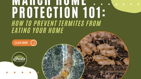 March home protection guide with termite images and tips to prevent termite damage to your home.