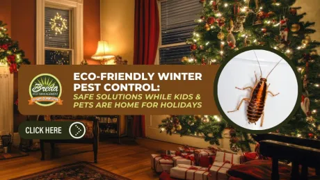 Cozy living room with decorated Christmas tree and eco-friendly winter pest control advertisement featuring a cockroach.