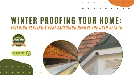Winter proofing home with exterior sealing and pest exclusion tips before cold weather, showing damaged wood and sealant areas.