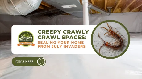 Clean sealed crawl space with centipede inset warning about July pest invasions and home sealing tips.
