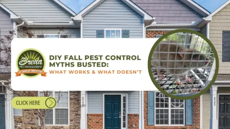 Townhouse exterior with a pest control ad featuring a trapped rat and fall pest control myths text.
