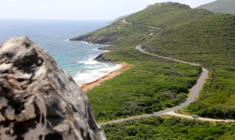 Surreal/Good St. Kitts