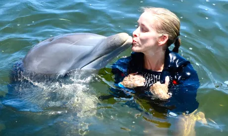 Dolphins and Sea Turtles and Stingrays (Oh My)