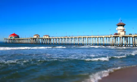 SoCal Surf and Turf:  Beyond the beach in La La Land