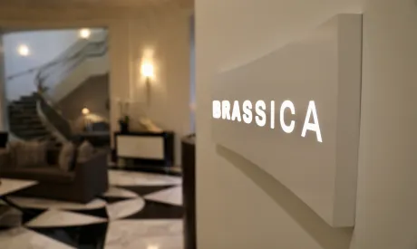 Brassica